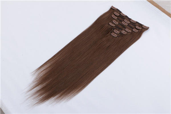 Clip in Human Hair Extensions 300g JF025